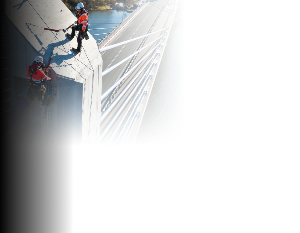 alpwork banner
